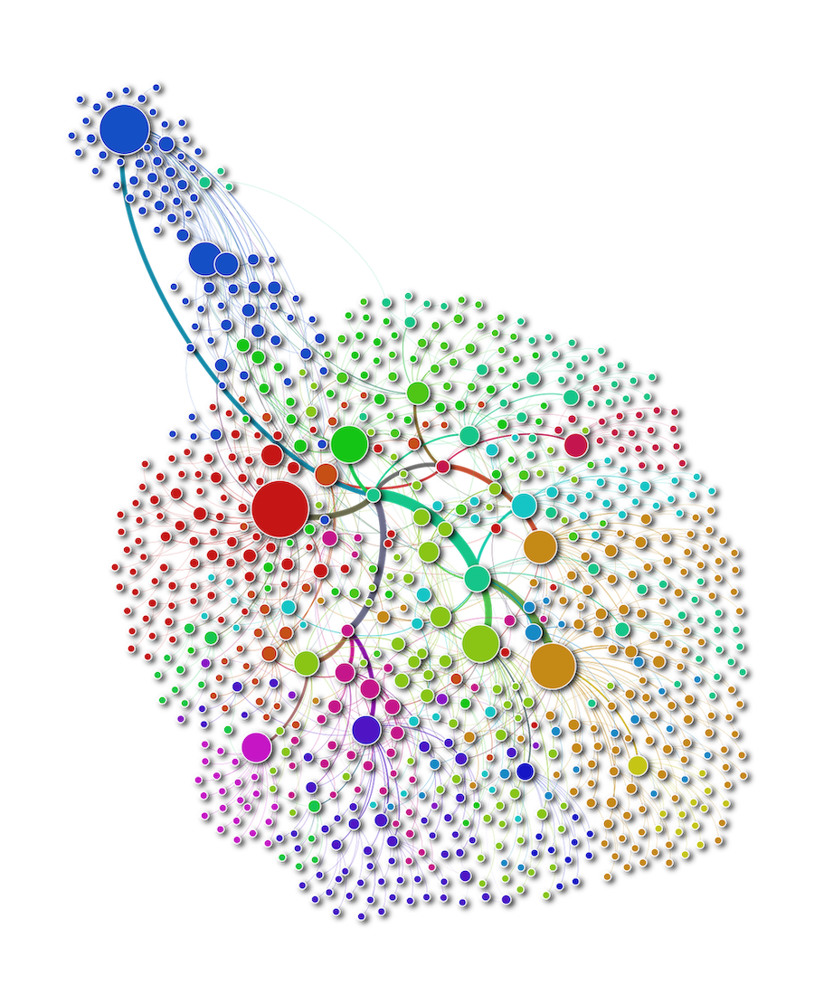 Edwards Typology Network